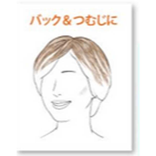 レオンカ部分ウィッグ 部分ウィッグ / レオンカオンラインショップ・医療用ウィッグ