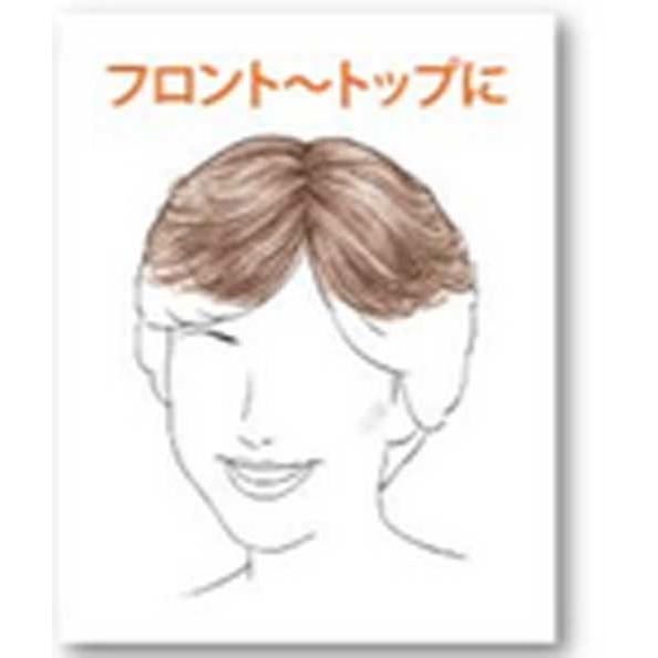 レオンカ SF-T58 部分ウィッグ |  | 01