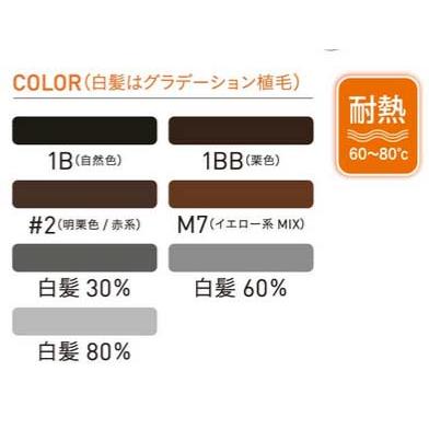レオンカ SF-T58 部分ウィッグ |  | 02