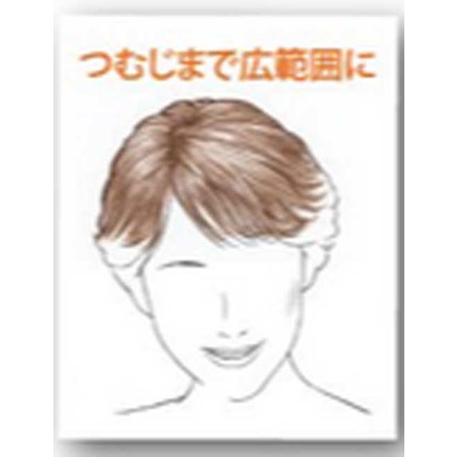 レオンカ SF-T58L 部分ウィッグ　T58の縦長ベースタイプ |  | 01