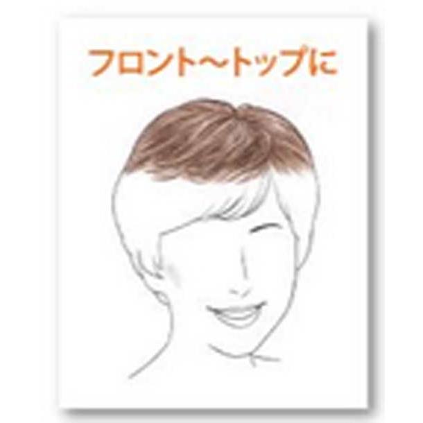 レオンカ SF-23 部分ウィッグ　 |  | 01