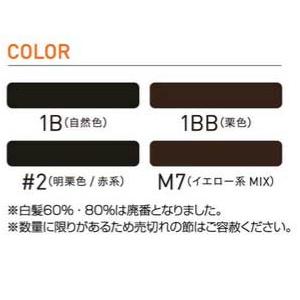 レオンカ SF-23 部分ウィッグ　 |  | 02