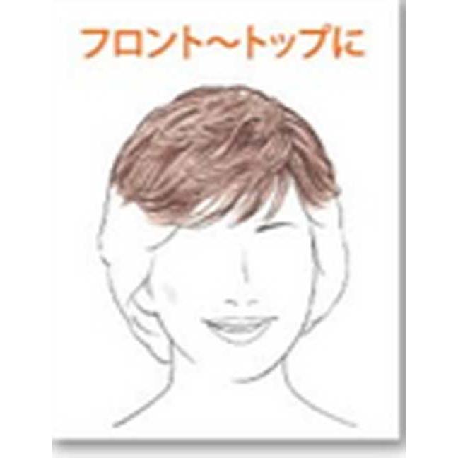 LEONKA部分ウィッグ Amazon.co.jp: フェザー レオンカ 部分ウィッグ SF-T305R DBN