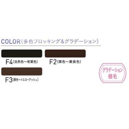 レオンカ ウィッグ EX-14フルウィッグ |  | 01