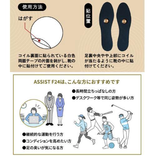 G-ZERO コイル マイクロカレント アシストＦ24　靴消臭 |  | 02