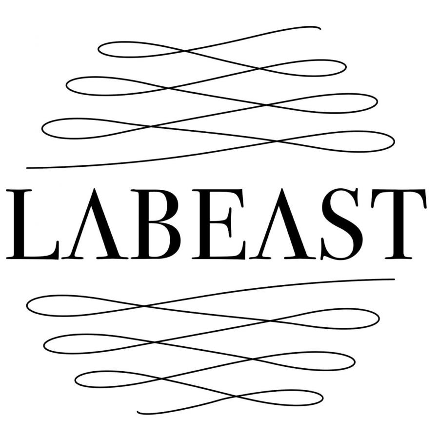 ラビースト ベースフレッシュ シャンプー 550ｇ ＆ トリートメントコンディショナー 550g セット 紅茶の香り |  | 01