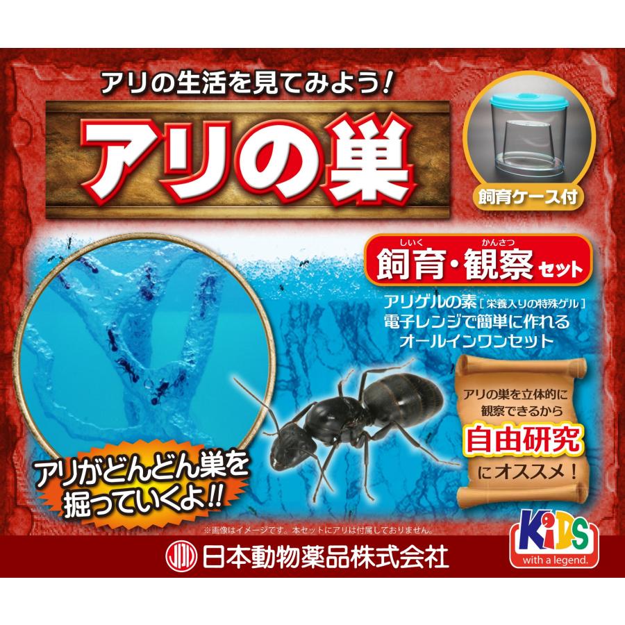 ニチドウ アリ飼育観察セット : SHOPみー - 通販 - Yahoo!ショッピング