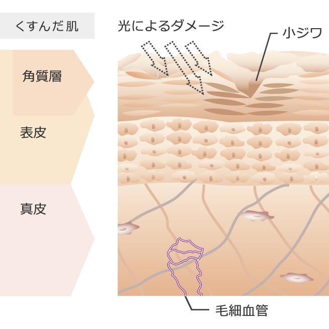 DRブライトアップ マッサージクリーム Ｓ ( 100g)｜shopmild｜04