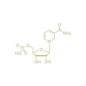アルティメイト クリーム(エモリエント）(30g)の画像