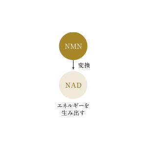 アルティメイト クリーム(エモリエント）(30g)の画像