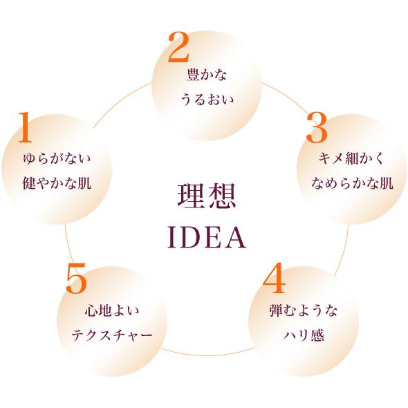 FEELMEIJU IDEA フィールメージュイデア バイタルキープマッサージ
