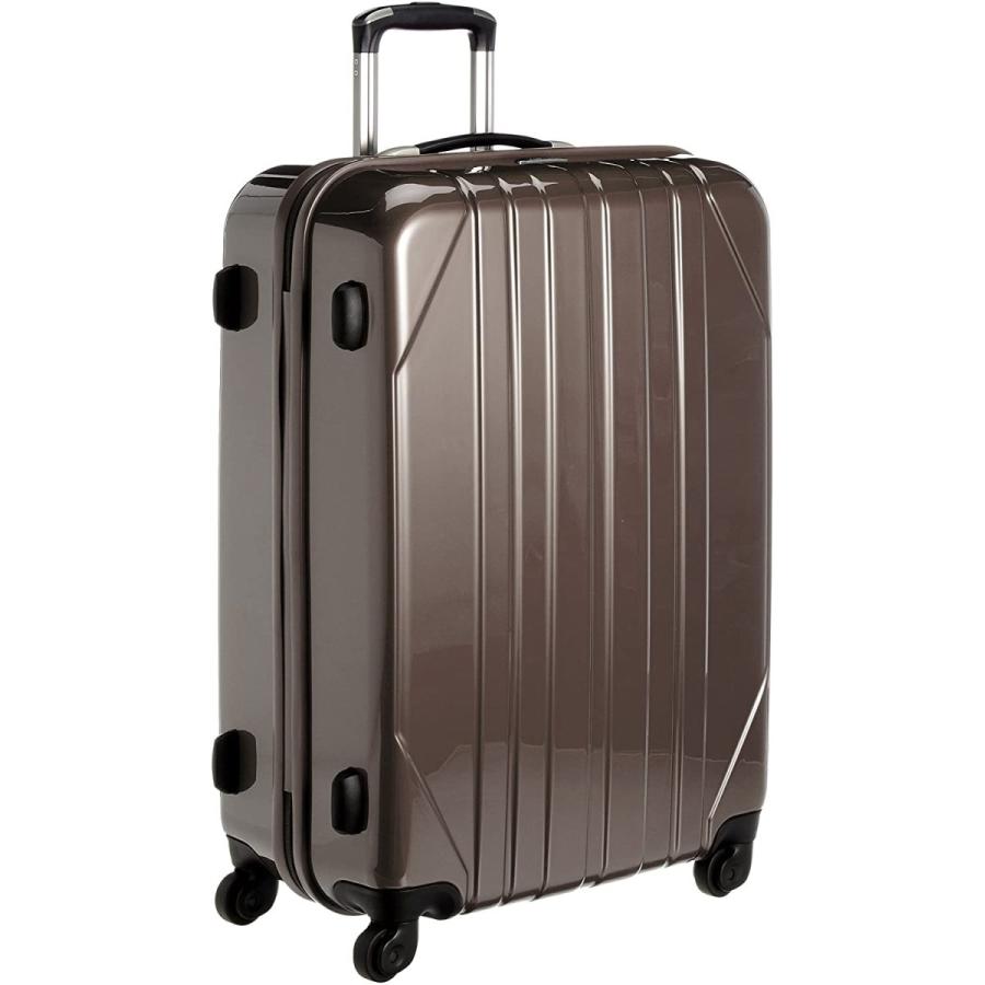 新品即決 プロナード エーススーツケース フレア 66cm 73リットル Tsaファスナーロック 一週間対応サイズ 73l 66 Cm 4 5kg 0550 人気no 1 本体 Johnydar Com