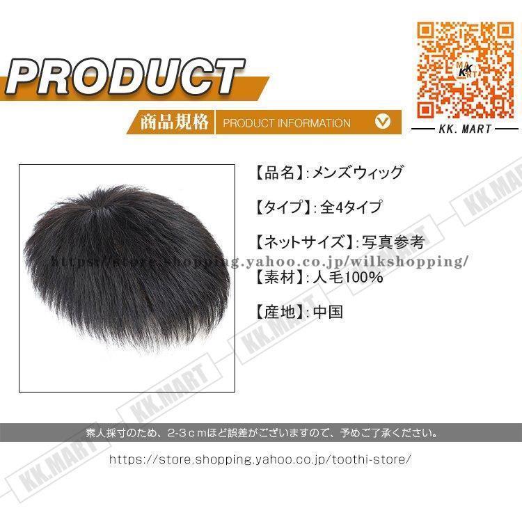 人毛100％ メンズウィッグ フルウィッグ 男性用ウイッグ 耐熱ウィッグ ウィッグネット付き 自然 ウイッグ エクステンション かつら イメチェンの画像
