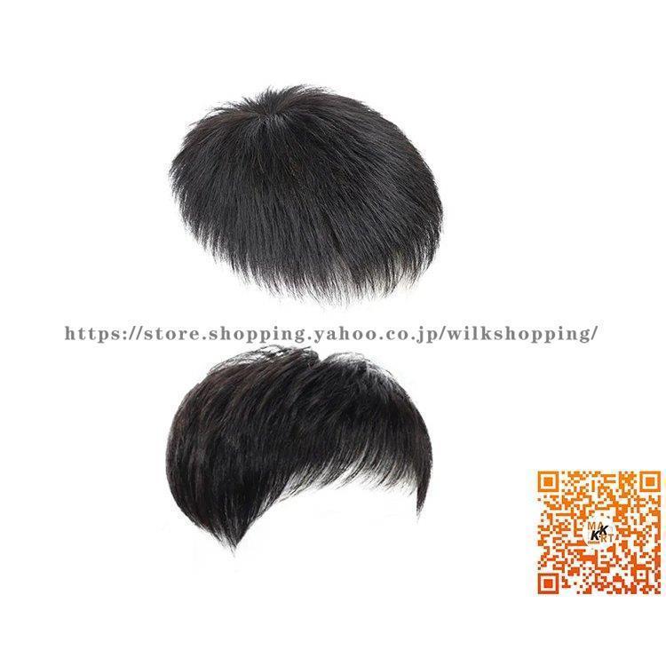 人毛100％ メンズウィッグ フルウィッグ 男性用ウイッグ 耐熱ウィッグ ウィッグネット付き 自然 ウイッグ エクステンション かつら イメチェンの画像