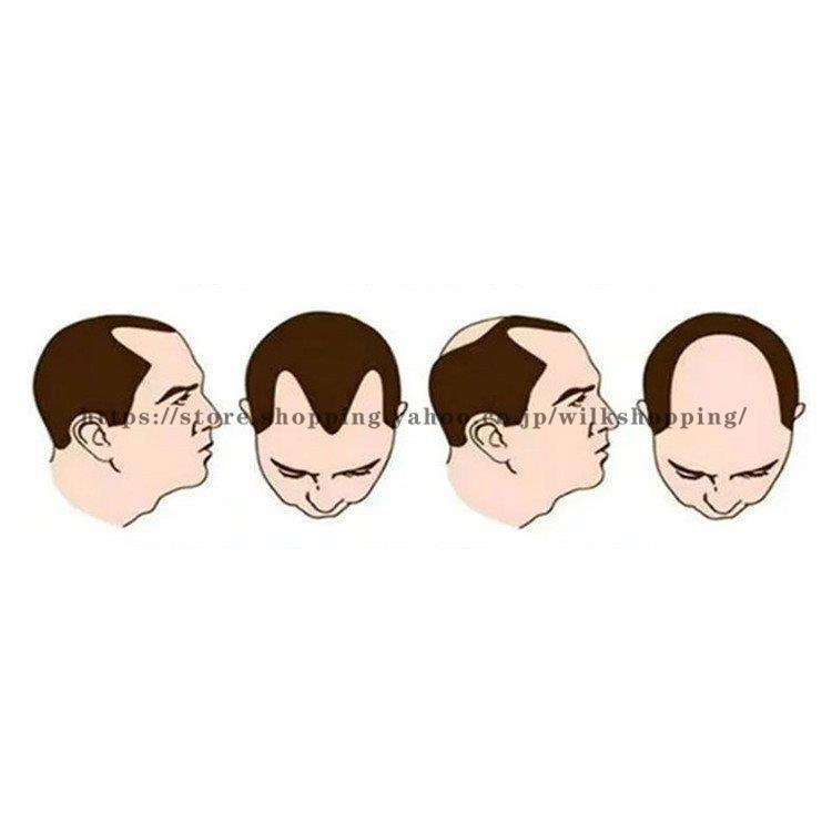 人毛100％ メンズウィッグ フルウィッグ 男性用ウイッグ 耐熱ウィッグ ウィッグネット付き 自然 ウイッグ エクステンション かつら イメチェンの画像