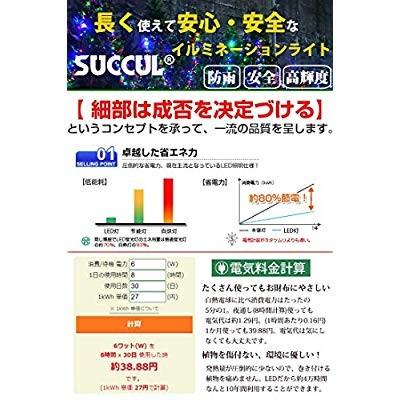 イルミネーションライト クリスマスライト ストレート ライト 100球 10m 防雨 連結可 記憶 コントローラ付 (クリアコード, ミック|shopnoa|04