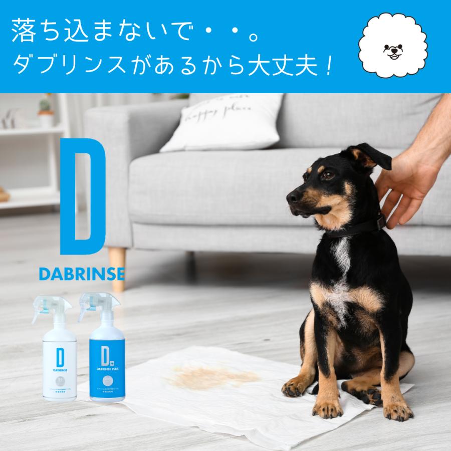 ダブリンスプラス 200ppm 10Lタンク 次亜塩素酸ナトリウム除菌消臭剤 ダブル技研 