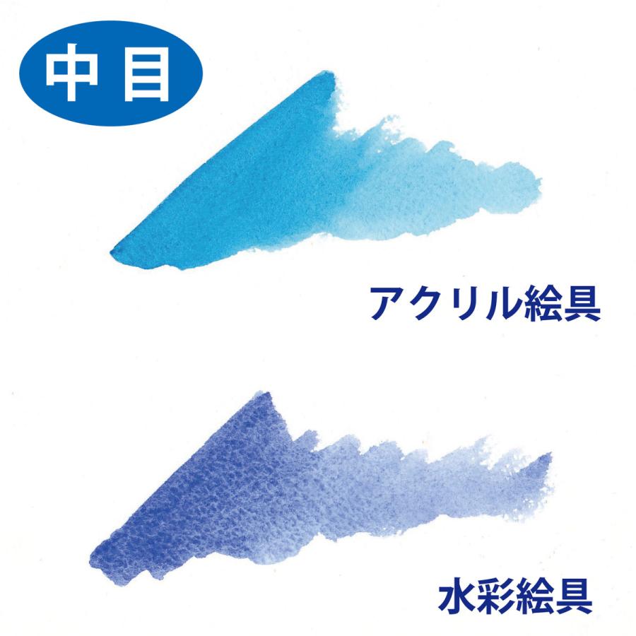 ORION 水彩紙 AAD-F4 アクリルデネブパック (300g) F4/6枚入 画材用紙