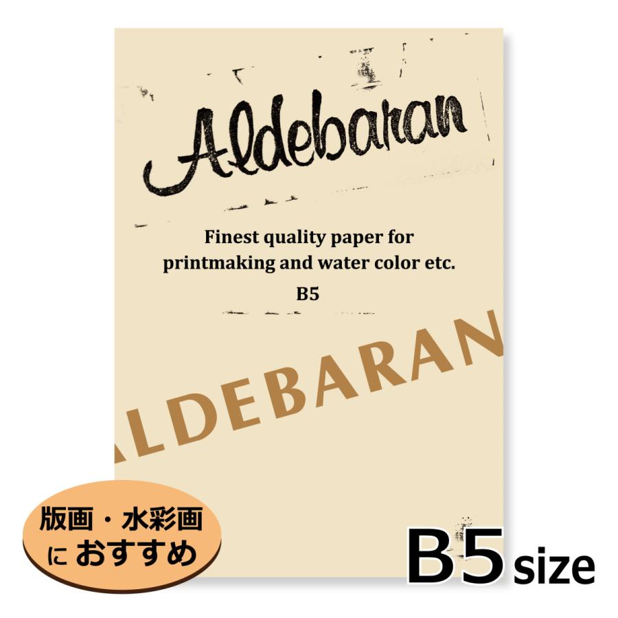 スケッチブック アルデバラン Abp B5 No 375 版画紙 水彩紙 天糊便箋式 同サイズ２冊までクリックポスト可 オリオン Abp B5 Orion Shop 通販 Yahoo ショッピング