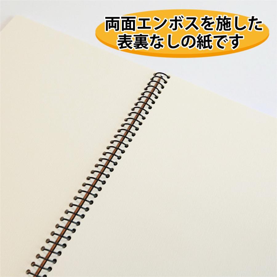 ORION（画材、アート用品） スケッチブック シリウス 画用紙 DS-F4 No