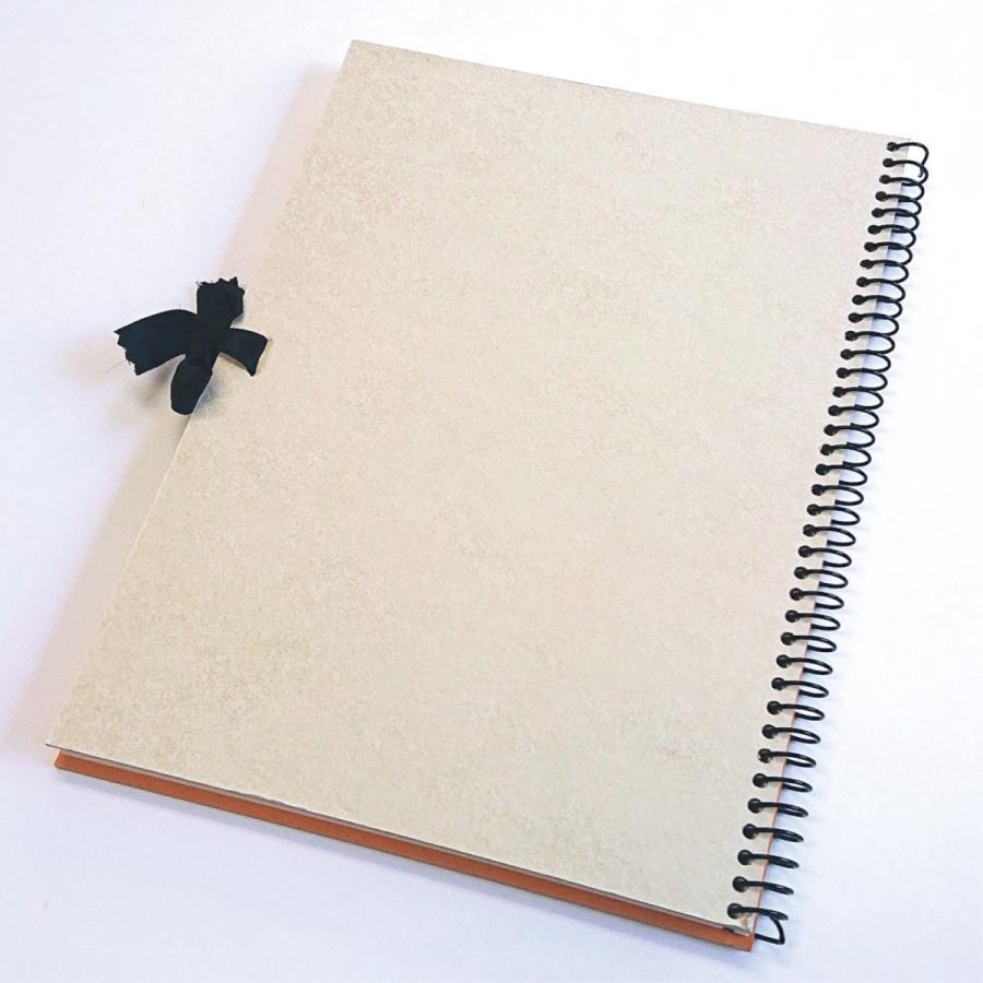 ORION（画材、アート用品） スケッチブック シリウス 画用紙 DS-F4 No