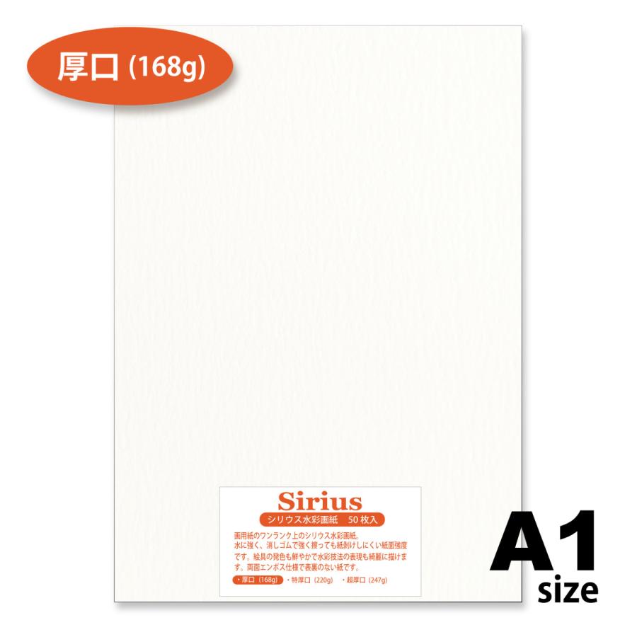 オリオン シリウス水彩紙 A1 50枚入 厚口 選べるサイズ 168g 画用紙 水彩 色鉛筆