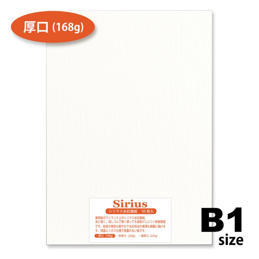 オリオン シリウス水彩紙 B1 50枚入 厚口 選べるサイズ 168g 画用紙 水彩 色鉛筆