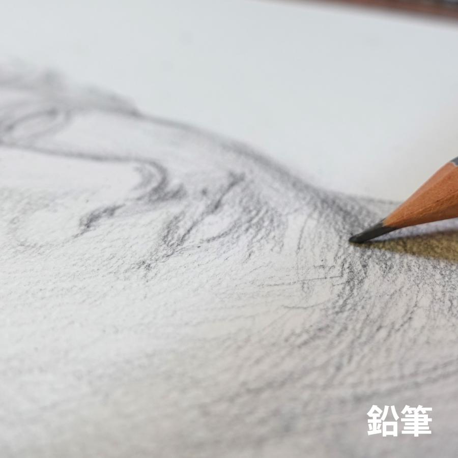 ORION オリオン シリウス水彩紙 B4 50枚入 特厚口 選べるサイズ 220g