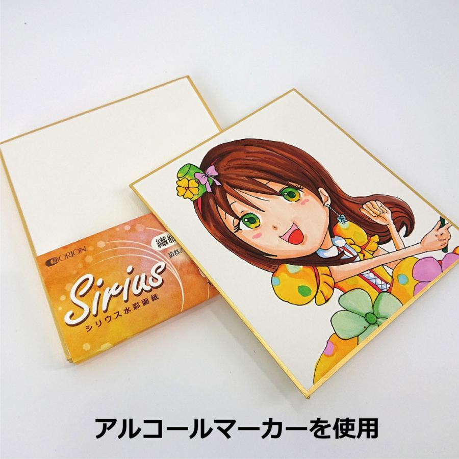 ORION 色紙 シリウス 大色紙 273mm×242mm 選べる2種 サイズ お祝い