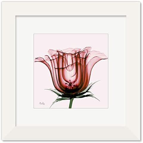 正規品 絵画 赤いバラ インテリア 絵 花 アートパネル 額入り ホワイト 縦36cm X 横36cm Paletteb07s3hvv2f ショップ パレット 通販 Yahoo ショッピング 最安 M Mahdi Net