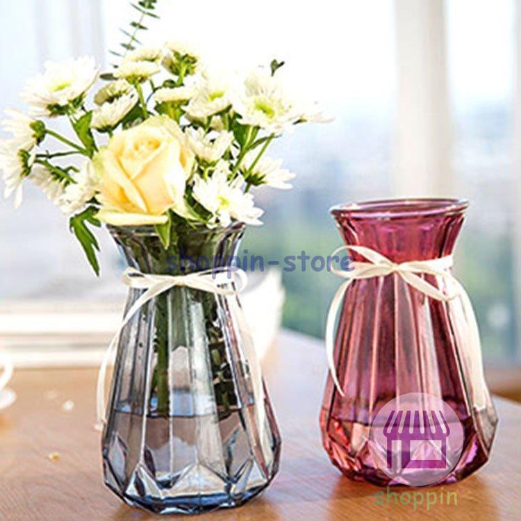 花瓶 ガラス おしゃれ フラワーベース 透明 生け花 造花用 水耕栽培用 花器 花びん かびん シンプル モダン インテリア 置物 リビング 寝室 玄関 書斎 食卓 窓辺 Zjur5e9nao 花 ガーデニング Editorialdismes Com