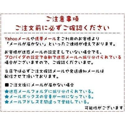 爪楊枝 携帯用 ステンレス 鋼 ピック つまようじ 専用ケース コンパクト｜shoppin｜05