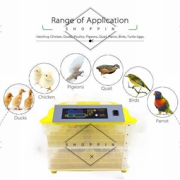 自動卵返し 孵卵器 静か ふ卵器 大容量 インキュベーター 最大96個 20-40℃ 孵化 羽化 爬虫類 カメ ブリード USプラグ 知育玩具 おすすめ 小学生 4歳 1歳 3歳 2歳 0歳 ヴァイオリン