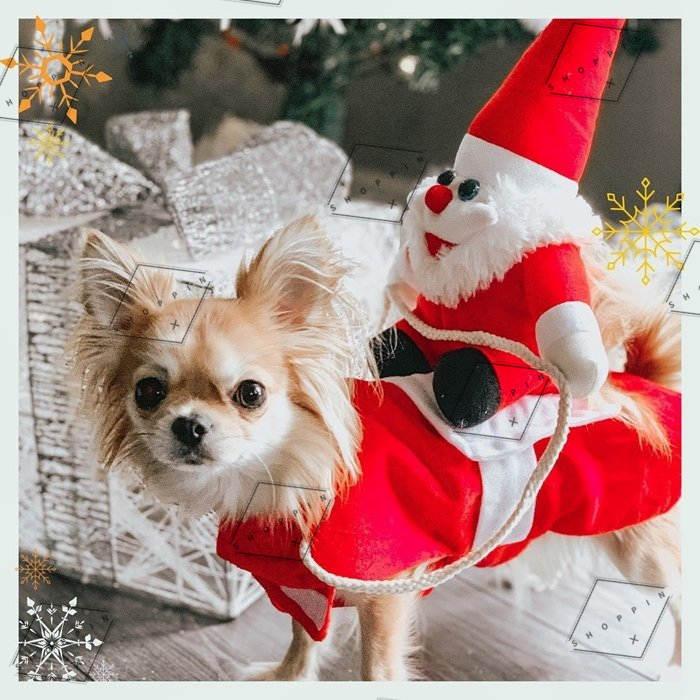 うのにもお得な情報満載! Lサイズ 犬用品 トナカイ コスプレ クリスマス サンタ ドッグウェア クリスマス キュート ペット 猫 犬 用 ネクタイ サンタ アウター サンタクロース コスプレ コスチューム (C-1)