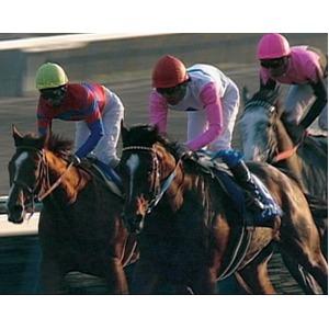 JRA DREAM HORSES 2000 20世紀の名馬100
