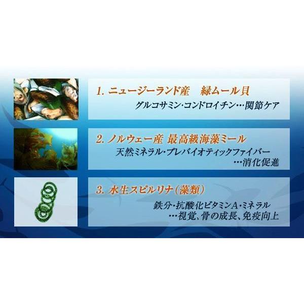 フィッシュ4 Fish4dogs フィッシュ4ドッグ スーペリア パピー 6kg+