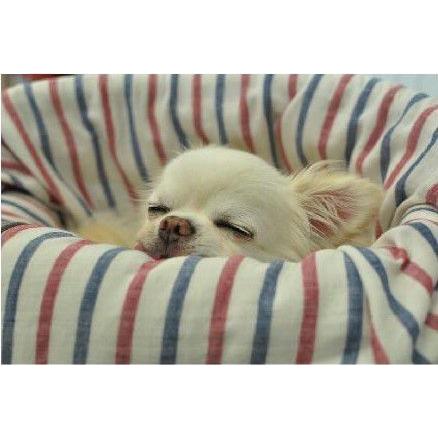 消費税無し Landy Larick Designs Mogg Bed 専用カバー Garze Cover L