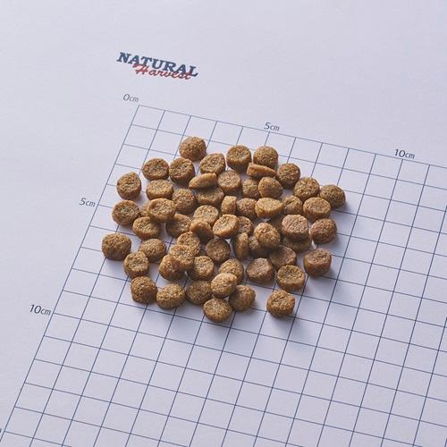 NaturalHarvest ナチュラルハーベスト フラックス 6kg_1