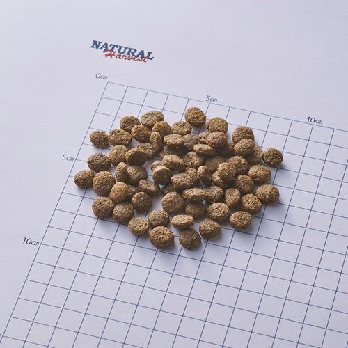 賞味2028.03★プレゼント選択 Natural Harvest ナチュラルハーベスト メンテナンススモール  ターキー 6kg | ナチュラルハーベスト | 01