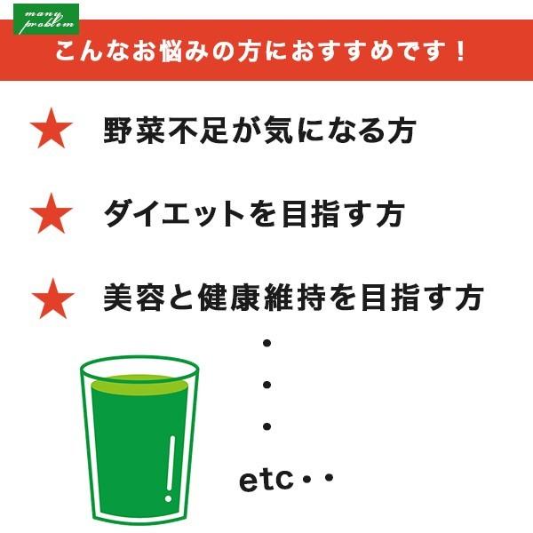 青汁 フルーツ青汁 ダイエット お得な2箱分 大葉若葉青汁 国産 3g×48本入 約7週間 大葉若葉 置き換えダイエット 送料無料｜shopping-lab｜06