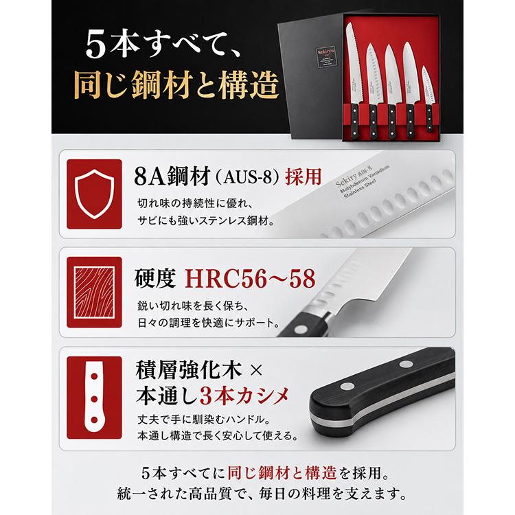 包丁 家庭用 5本セット 日本製 関市 8A鋼材 本通し3本カシメ 積層強化