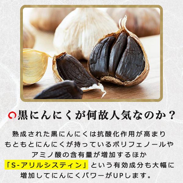 黒にんにく発酵器 黒ニンニク発酵機 黒にんにくメーカー 黒 黒にんにく発酵器 黒ニンニク発酵機 黒にんにくメーカー 黒