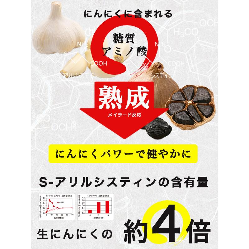 【送料無料】黒にんにく発酵器 RM-AZ1000H-BK　黒にんにくメーカー RM-AZ1000H-BK 黒にんにく発酵器 1台 ROOMMATE 【通販モノタロウ】