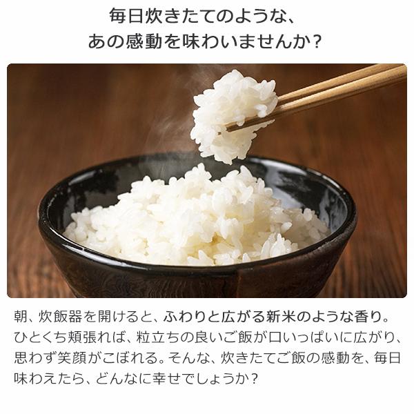 米びつ 保冷米びつ 白米 31Kg 電気代 コンパクト 静音 省エネ