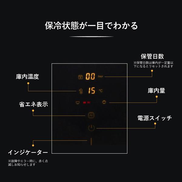 米びつ 保冷米びつ 白米 31Kg 電気代 コンパクト 静音 省エネ ライスクーラー 家庭用 米びつ 湿気 対策 防虫 スタイリッシュSLI-RC11 SLI-RC21 SLI-RC31
