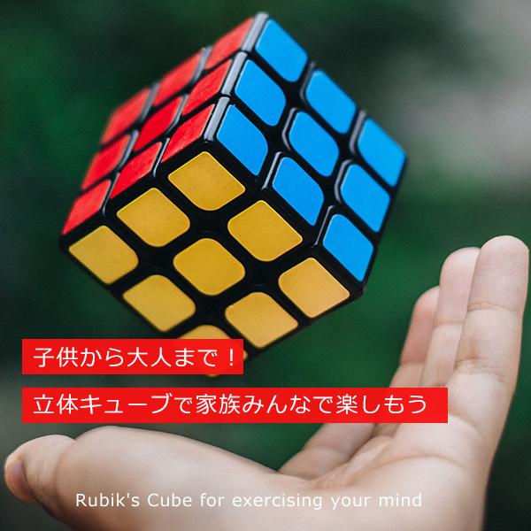 脳トレ パズルランキング 3x3 立体パズル 脳トレ パズルランキング 3x3 立体パズル