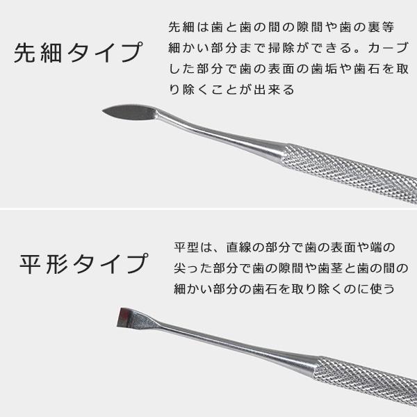 ペット用歯石取りペンチ 約15cm と　スケーラー dent-0006-6_04.jpg