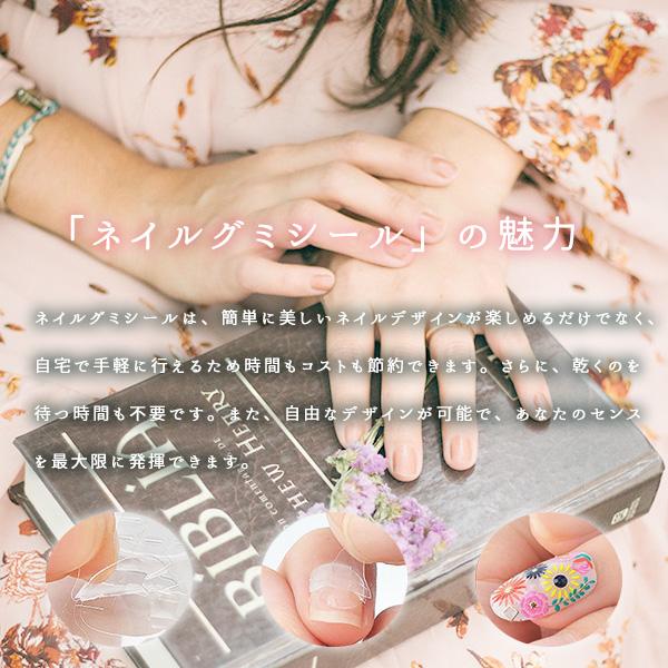 未使用多数 ネイルシール・チップセット 複数デザイン （フット ネイル 
