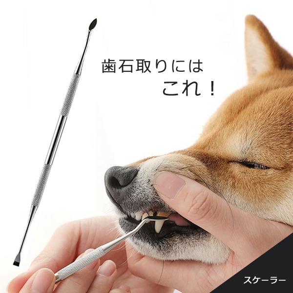 ペット用　歯石ペンチとスケーラー2本 楽天市場】愛犬・愛猫歯石取りペンチとスケラーセット 犬 歯磨き