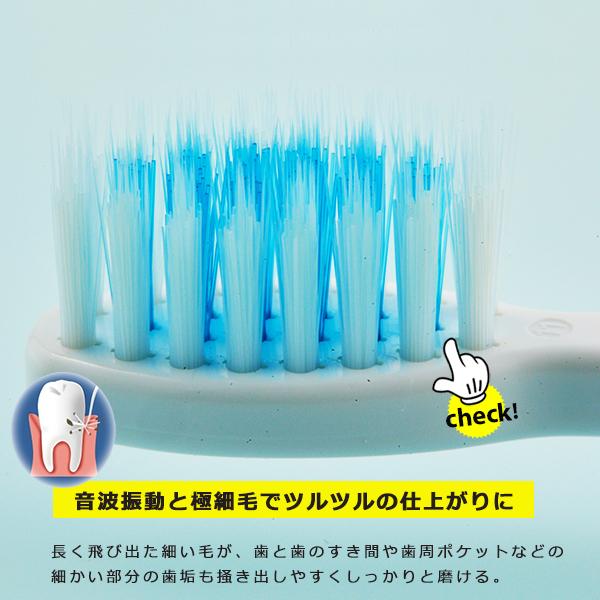 電動歯ブラシ 音波式 ポータブル 2本SET 毎分22000回 音波振動 微細毛